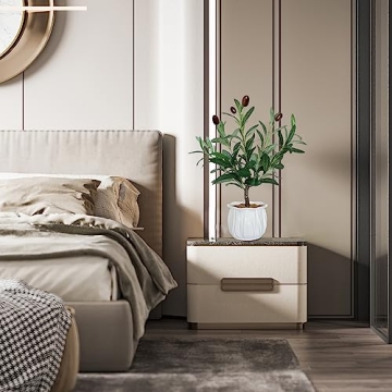 BESAMENATURE Artificial Olive Tree, Desktop Faux Fruit Tree for Home Office Decoration, 14" Tall