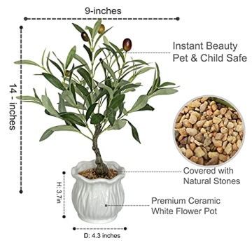 BESAMENATURE Artificial Olive Tree, Desktop Faux Fruit Tree for Home Office Decoration, 14" Tall