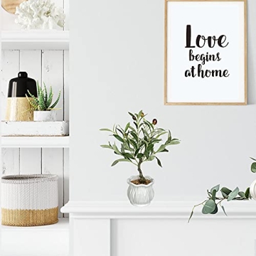 BESAMENATURE Artificial Olive Tree, Desktop Faux Fruit Tree for Home Office Decoration, 14" Tall