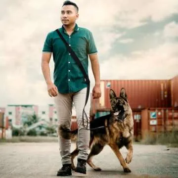 TSPRO Hands Free Dog Leash Adjustable Walking Running Dog Leash with Control Safety Padded Handle and Heavy Duty Clasp for Medium Large Dogs (Green)