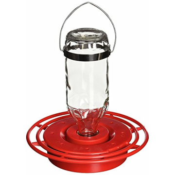 Birds Choice BEST8OZ Hummingbird Feeder with 8 Ports
