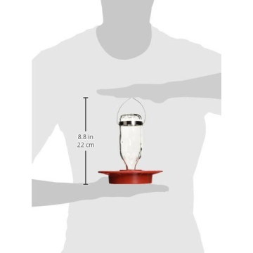 Birds Choice BEST8OZ Hummingbird Feeder with 8 Ports