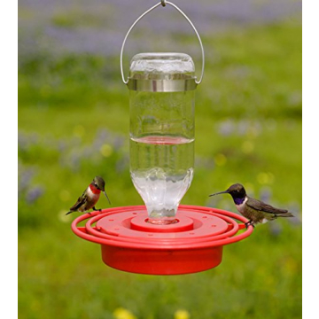 Birds Choice BEST8OZ Hummingbird Feeder with 8 Ports