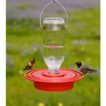 Birds Choice BEST8OZ Hummingbird Feeder with 8 Ports