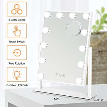 HUONUL Vanity Mirror with Lights - Dimmable Mirror for Makeup