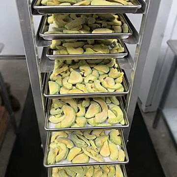 Freeze Dry Wholesalers Freeze Dried Avocado Slices | Backpacking & Camping Food | Family Size Emergency Food