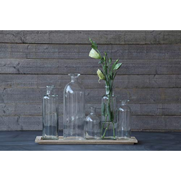 Creative Co-Op Vintage Bottle Set with Tray for Home Decor