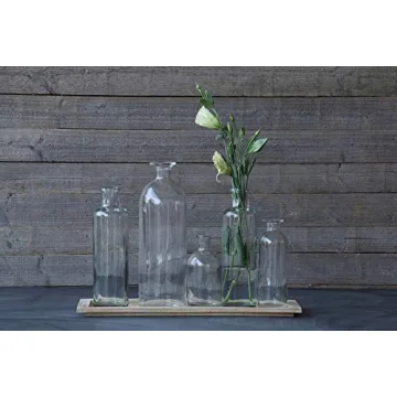 Creative Co-Op Vintage Bottle Set with Tray for Home Decor