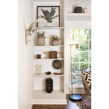 Creative Co-Op Vintage Bottle Set with Tray for Home Decor