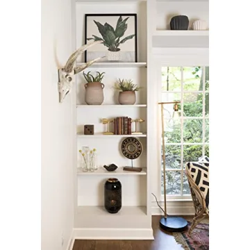 Creative Co-Op Vintage Bottle Set with Tray for Home Decor