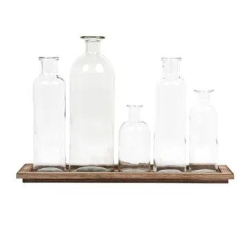 Creative Co-Op Vintage Bottle Set with Tray for Home Decor