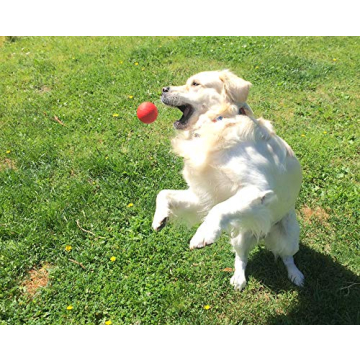 Indestructible Dog Balls for Large Breeds - Durable & Fun