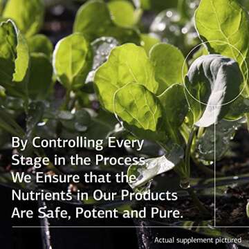 Standard Process Cal-Ma Plus - Supports Calcium Levels Naturally