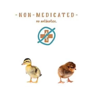 Manna Pro Non-Medicated Starter Feed for Healthy Chicks