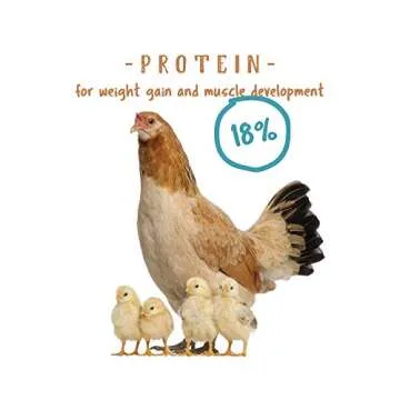 Manna Pro Non-Medicated Starter Feed for Healthy Chicks