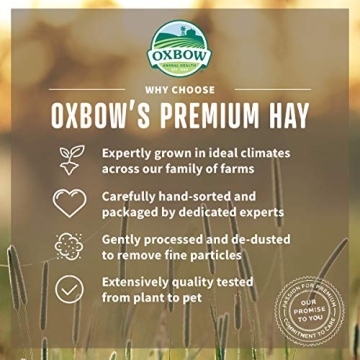 Oxbow Animal Health Hay Blends - Timothy & Orchard 90 oz