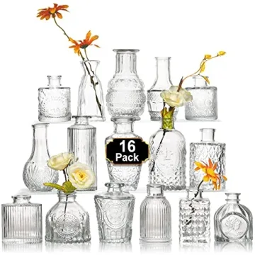 Arme 16Pcs Glass Bud Vase Set，Small Flower Vase for Centerpieces，Clear Bud Vases in Bulk， Mini...