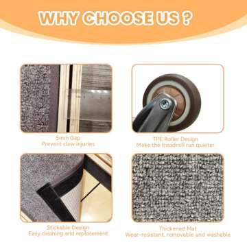 Homegroove Cat Exercise Wheel - Durable & Safe Indoor Treadmill for Cats