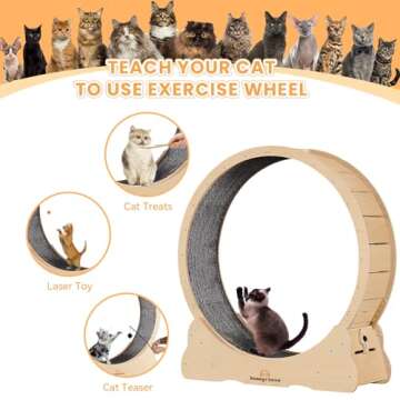 Homegroove Cat Exercise Wheel for Indoor Cats Treadmill