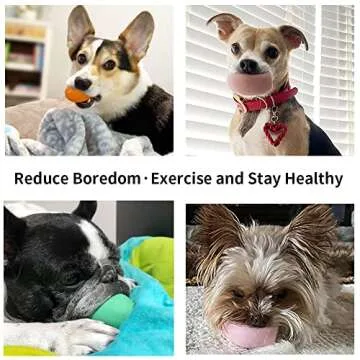 Dog Squeaky Toy, Latex Bouncy Egg Balls with Squeaker for Puppy Small Pet Dogs, Soft Rubber Sound Toys for Interactive Fetch Play