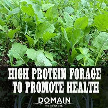 Domain Outdoor Sugar Momma Deer Food Plot Seed, 1/2 Acre, Annual and Perennial Food Sources for Summer, Fall and Winter Attraction, Year Round Food - Turnip, Rape, Kale, Clovers, Chicory