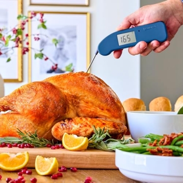 ThermoWorks Thermapen ONE Instant-Read Thermometer - Best Choice