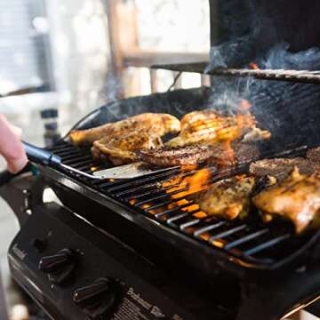 Evergreen Farm and Garden Coleman Propane Replacement Fuel Cylinders 16 oz Camping Fuel Bundled (4 Pack)