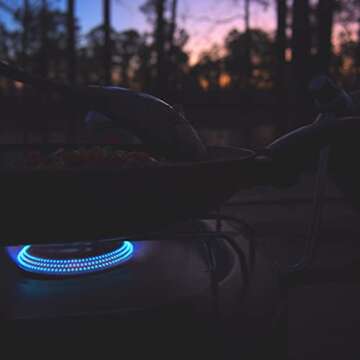 Evergreen Farm and Garden Coleman Propane Replacement Fuel Cylinders 16 oz Camping Fuel Bundled (4 Pack)