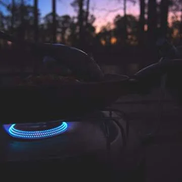 Evergreen Farm and Garden Coleman Propane Replacement Fuel Cylinders 16 oz Camping Fuel Bundled (4 Pack)