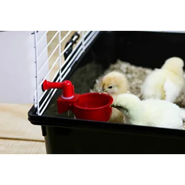 RentaCoop 32oz Auto-Fill Waterer for All Small Pets