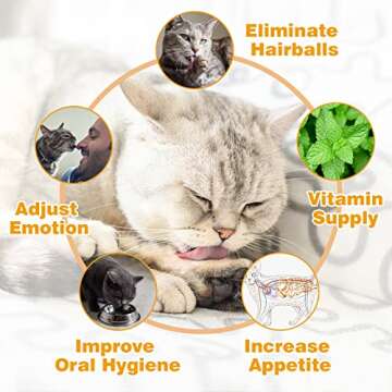 SINROBO Catnip Ball for Cats Wall, 4 Pack, Silvervine Balls, Edible Toys, Lick Safe Healthy Kitten Chew & Teeth Cleaning Dental Toys, Wall Treats (Grey)