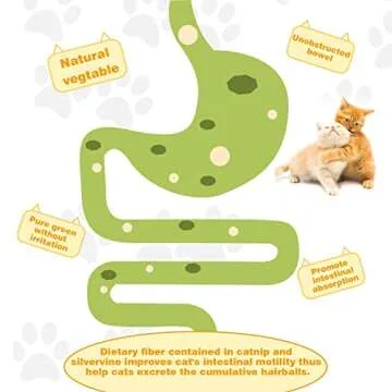 SINROBO Catnip Ball for Cats Wall, 4 Pack, Silvervine Balls, Edible Toys, Lick Safe Healthy Kitten Chew & Teeth Cleaning Dental Toys, Wall Treats (Grey)