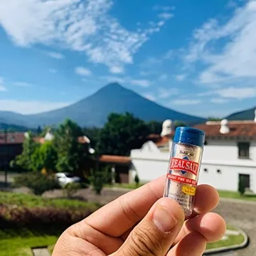 Redmond Real Sea Salt Pocket Shaker 6 Pack for Travel and Home