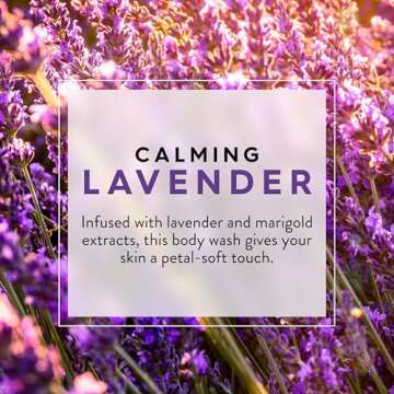JASON Lavender Calming Body Wash, For a Gentle Feeling Clean, 30 Fluid Ounces