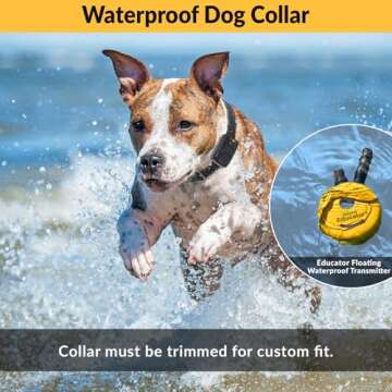 Educator E-Collar Humane Dog Training Collar with Remote, 100 Safe Tapping Stimulation Levels, Night Light, Waterproof, Rechargeable, 1/2 Mile 1 Small-Medium Dog, Yellow