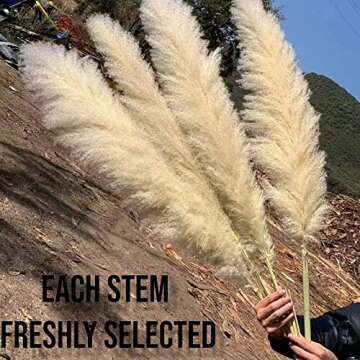 10 Stems Natural Pampas Grass Decor Tall (47 Inches) Pompas Floral Large Pampas Grass Boho Decor - T...