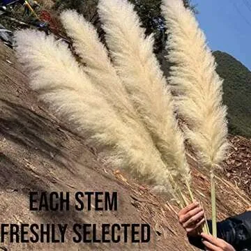 10 Stems Natural Pampas Grass Decor Tall (47 Inches) Pompas Floral Large Pampas Grass Boho Decor - T...