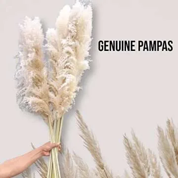 10 Stems Natural Pampas Grass Decor Tall (47 Inches) Pompas Floral Large Pampas Grass Boho Decor - Tall Pampas Grass for Floor Vase Wedding Home Grass by JTXCLUSIVES