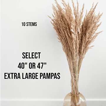10 Stems Natural Pampas Grass Decor Tall (47 Inches) Pompas Floral Large Pampas Grass Boho Decor - Tall Pampas Grass for Floor Vase Wedding Home Grass by JTXCLUSIVES