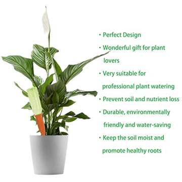 Terracotta Plant Watering Stakes for Indoor and Outdoor Use