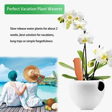 Terracotta Plant Watering Stakes for Indoor and Outdoor Use