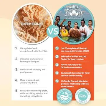 EverSmith Gold Sea Moss | 160oz Gel | Wildcrafted from St. Lucia