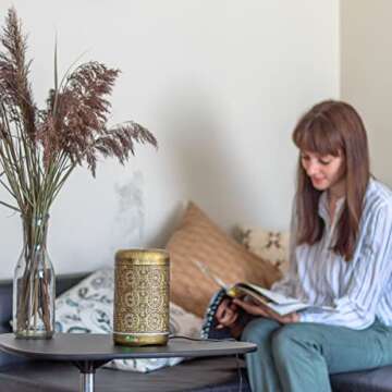 Unique 250ML Essential Oil Diffuser - Auto Shut-Off