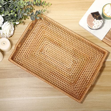 Hipiwe Hand-Woven Rattan Decorative Tray for Home