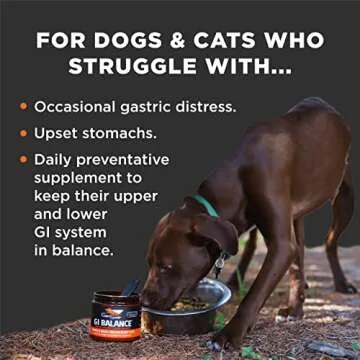 Super Snouts GI Balance - Digestive Support for Pets