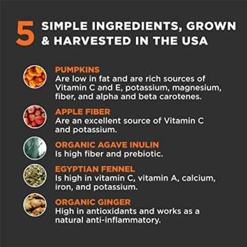 Super Snouts GI Balance - Digestive Support for Pets