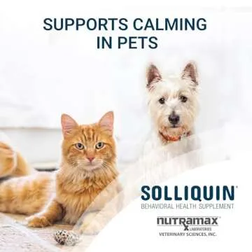 Nutramax Solliquin Calming Supplement for Dogs and Cats