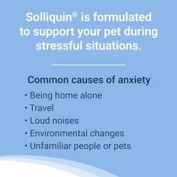 Nutramax Solliquin Calming Behavioral Health Supplement for Small to Medium Dogs and Cats - With L-Theanine, Magnolia / Phellodendron, and Whey Protein Concentrate, 75 Soft Chews