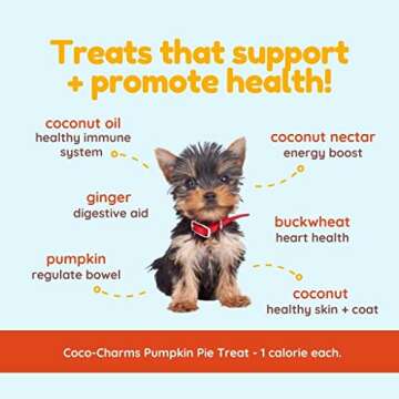 Cocotherapy Coco-Charms Training Treats – Pumpkin Pie, (1 Pouch), 5 Oz.