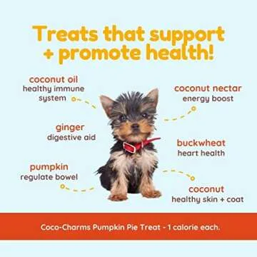 Organic Pumpkin Pie Training Treats for Dogs